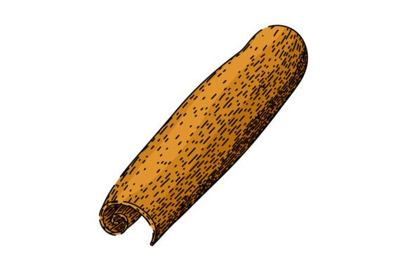 Download Aromatic Cinnamon Sketch Hand Drawn Vect - Aromatic Collection