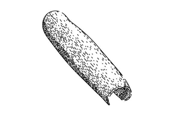 Download Aromatic Cinnamon Sketch Hand Drawn Vect - Aromatic Collection